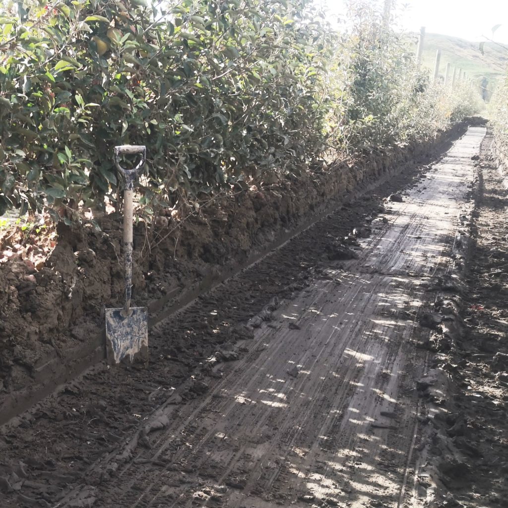 This image has an empty alt attribute; its file name is Excavated-orchard-sediment-1024x1024.jpg