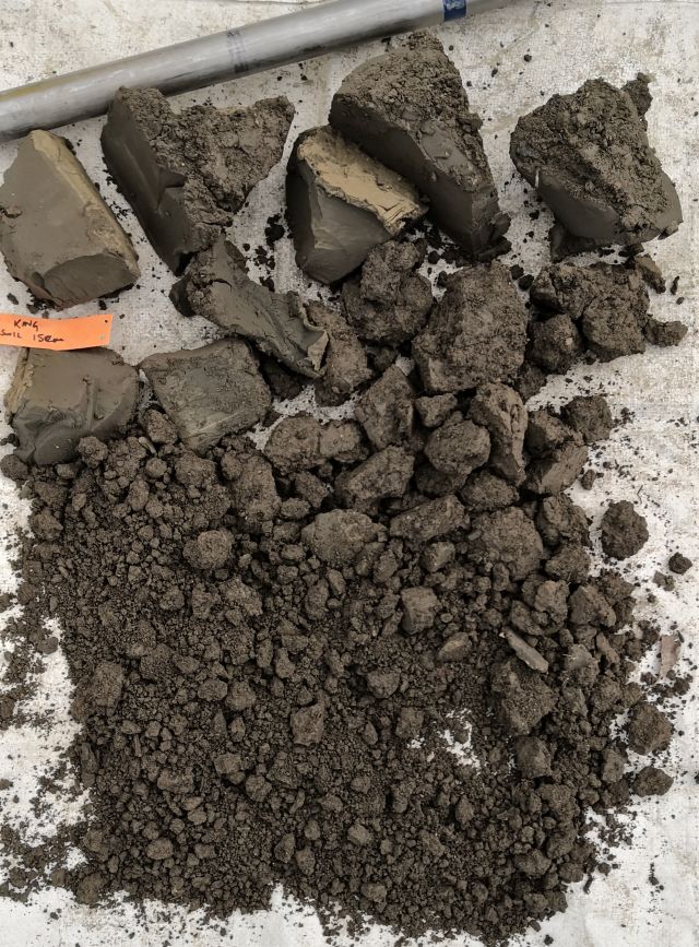 This image has an empty alt attribute; its file name is Good-VSA.jpg